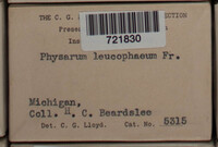 Image Associated With the Occurence